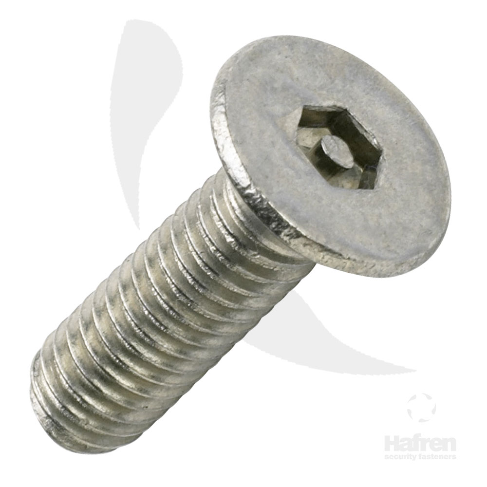 Pin Hex Countersunk Head A2 Machine Screw