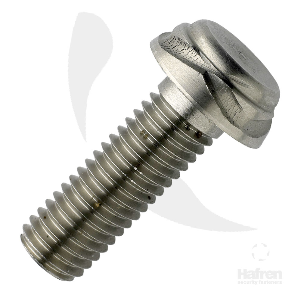 Scroll Stainless Steel Machine Screw