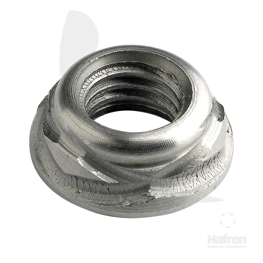 Scroll Stainless Steel Nut